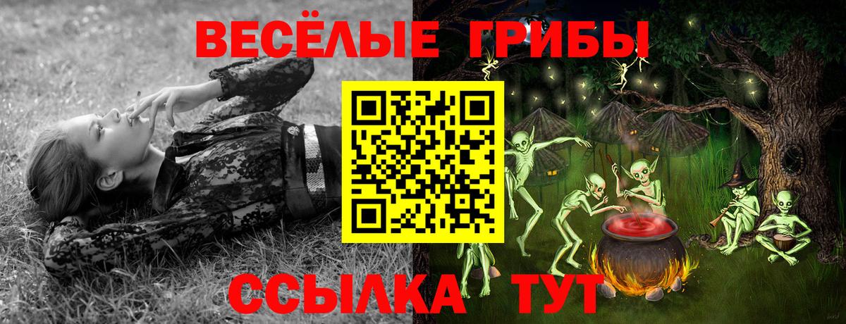 Кимры  Псилоцибиновые грибы Magic Shrooms  Вход с VPN 