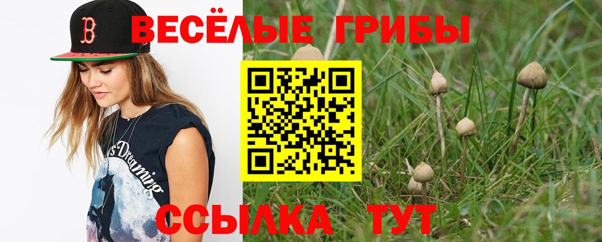 Псилоцибиновые грибы MAGIC MUSHROOMS Кимры