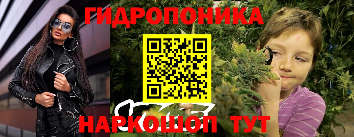 Кимры  Бошки Шишки тримм  Канабис VHQ  Каннабис LSD WEED  Вход с VPN 